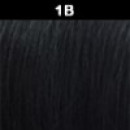 1B