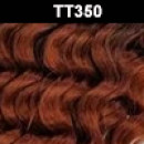 TT350