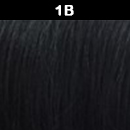 1B